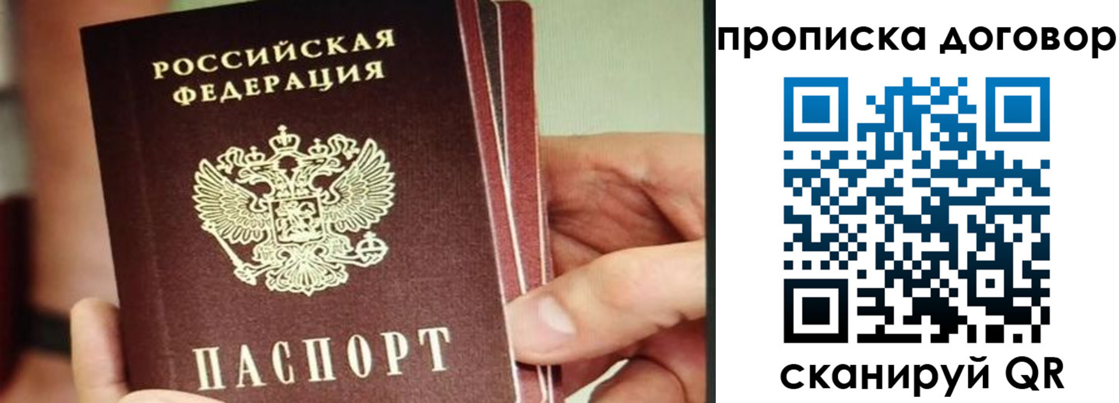 прописка в Королёве